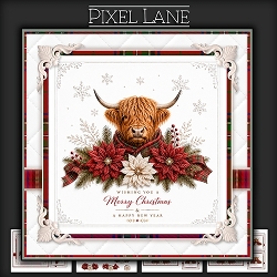 Winter Wonderland (Highland Cow)