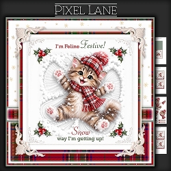 Feline Festive