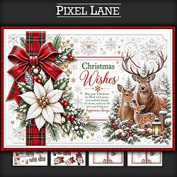 cup1466203_1443 - May Your Christmas Be Filled With Peace