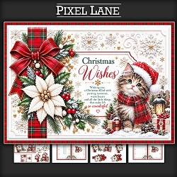 cup1470811_1443 - A Little Cat brings Christmas Cheer