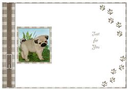 Puppy Insert 6