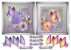 Dusk & Dawn Butterflies