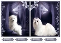 Moonlit Puppies