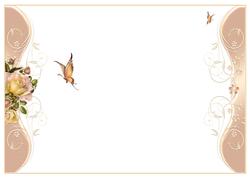 Butterfly & Roses Blank Insert
