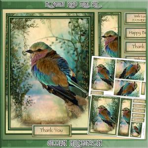 Morning Bird Mini Kit