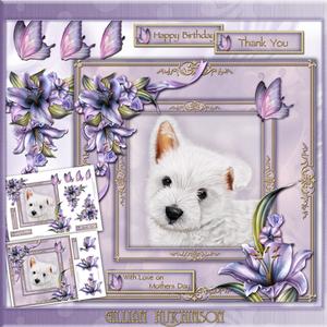 Puppy Dog Eyes Mini Kit