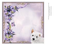 Puppy Dog Eyes Blank Insert