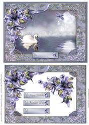 Twilight Swan