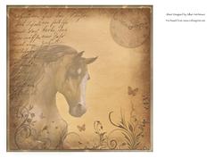 Free Spirit Blank Insert