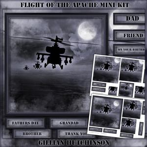 Flight of the Apache