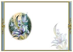 Morning Dew Stargazer Blank Insert