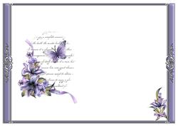 Lilies & Butterfly Blank Insert
