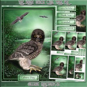 The Night Watch Owl Mini Kit