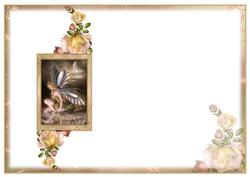 The Lost Fairy Blank Insert