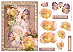 Summer Roses