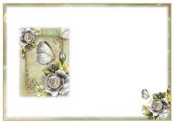 White Roses & Butterfly Blank Insert