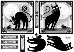 Cool Cats