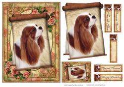 Cavalier King Charles