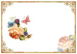 Butterflies, Bees & Roses Blank Insert