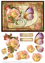 Pink Roses & Butterfly