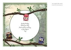 Two`s Company Three`s a Crowd Birthday Insert