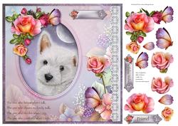 Faithful Friend
