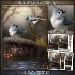 The Bird Watcher Mini Kit