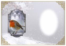 Little Robin Red Breast Blank Insert