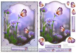 Butterfly Bliss