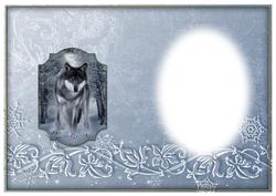 Winters Night Insert