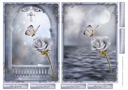 Sympathy Rose