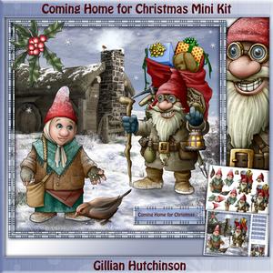 Coming Home for Christmas