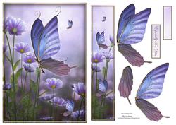 Evening Butterfly