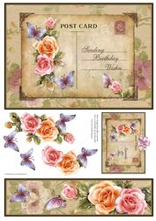 Birthday Postcard