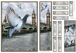 The London Pigeons