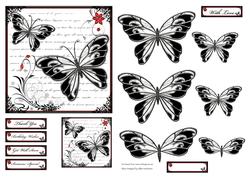 Butterflies