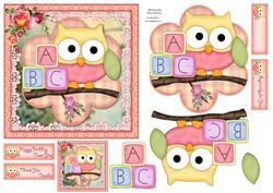 Little Abc Owl