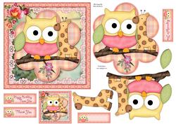 Little Owl