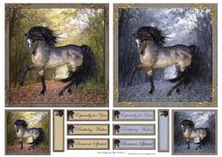 Simply Horses
