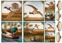 Free as a Bird