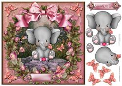 Roses & Sweets