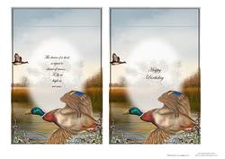 3 in 1 Serenity Inserts