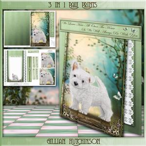 3 in 1 Paw Prints