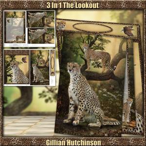 3 in 1 the Lookout