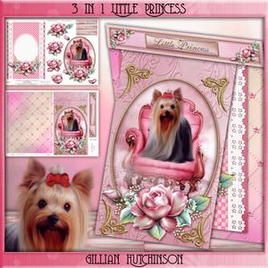 3 in 1 Little Princess