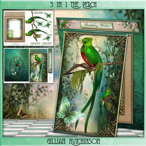 3 in 1 the Woodland Perch