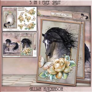 3 in 1 Free Spirit