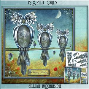 Moonlit Owls Mini Kit