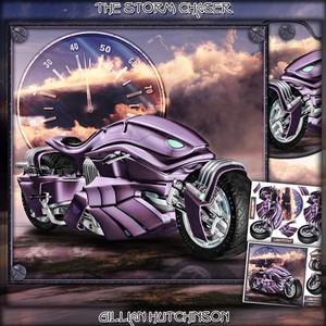 The Storm Chaser