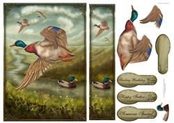 Take Flight